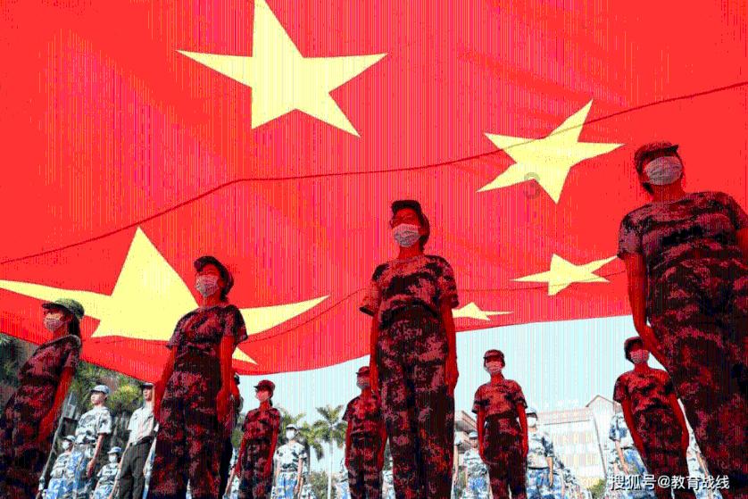 解救金刚鹦鹉