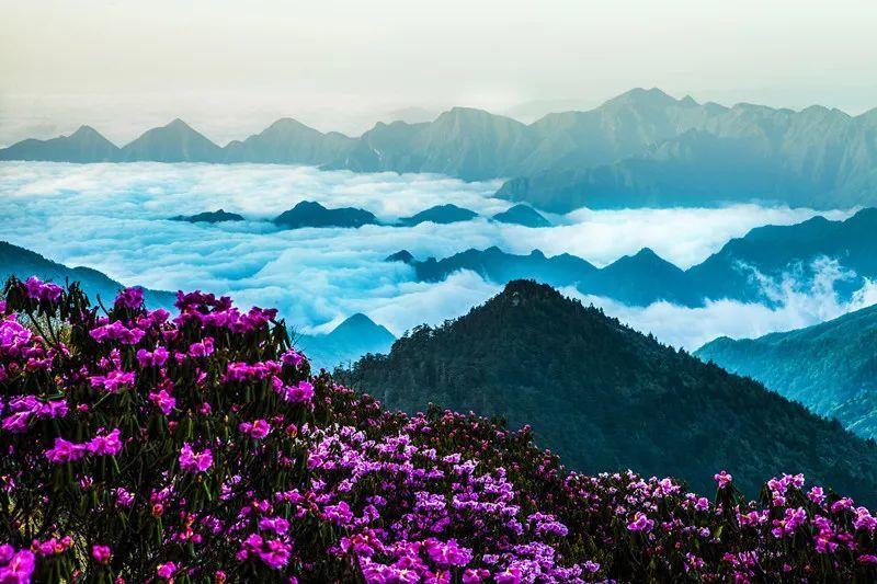离婚后该不该退还彩礼？