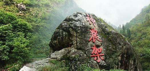 五个精准施策  建强村党组织战斗堡垒